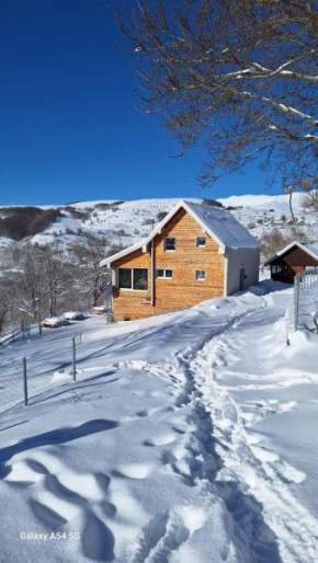 Holiday home Vila Bjelašnica